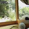 13時20分 ごろ