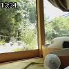 13時30分 ごろ