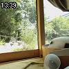 13時35分 ごろ