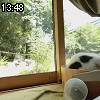 13時45分 ごろ