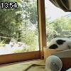 13時50分 ごろ