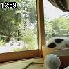 13時55分 ごろ