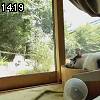 14時15分 ごろ