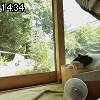 14時30分 ごろ