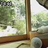 14時40分 ごろ