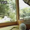14時45分 ごろ
