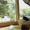 15時00分 ごろ