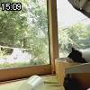 15時05分 ごろ