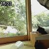 15時20分 ごろ