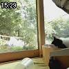 15時25分 ごろ