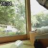 15時30分 ごろ
