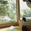 15時35分 ごろ