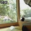 15時45分 ごろ