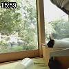 15時55分 ごろ