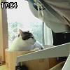 17時00分 ごろ