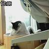 17時05分 ごろ