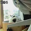 17時10分 ごろ