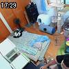 17時25分 ごろ