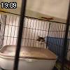 19時05分 ごろ