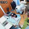 21時10分 ごろ