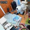 23時25分 ごろ