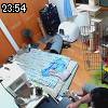 23時50分 ごろ