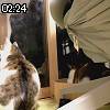 02時20分 ごろ