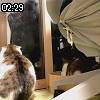 02時25分 ごろ