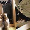 02時30分 ごろ