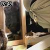 02時45分 ごろ