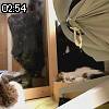 02時50分 ごろ