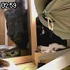 02時55分 ごろ