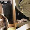 03時00分 ごろ