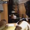 03時20分 ごろ