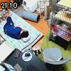 21時10分 ごろ