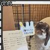 07時15分 ごろ