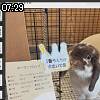 07時25分 ごろ