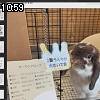 10時55分 ごろ