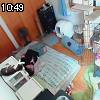 10時45分 ごろ