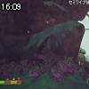16時05分 ごろ