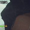 18時30分 ごろ