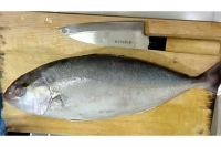 魚,包丁,まな板,料理