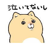 犬,かわいい,泣いてないし,イラスト,動物,涙目