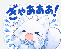 猫,白猫,泣く,涙,青い目,肉球,ぎゃあああ！