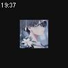 19時35分 ごろ