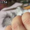11時50分 ごろ
