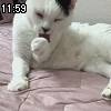 11時55分 ごろ