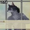 15時50分 ごろ