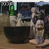 20時30分 ごろ