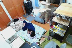 01時20分 ごろ